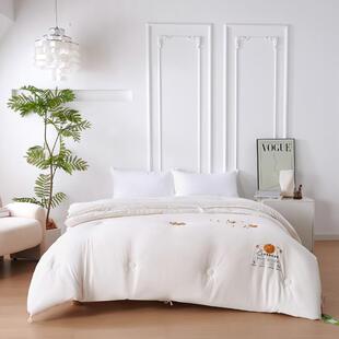 a类20%婴豆子生母被母被0003大芯学宿舍加厚冬被春秋被二合一冬季