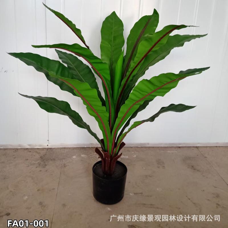 仿真鸟巢栽蕨植热带植物摆件绿花箱造景绿植楼角落小无品牌/梯植物盆假花