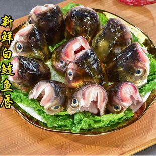 鱼嘴巴特级鱼唇稀有美食冰鲜花鲢鱼嘴半成品先杀鲜活特大鱼嘴顺丰