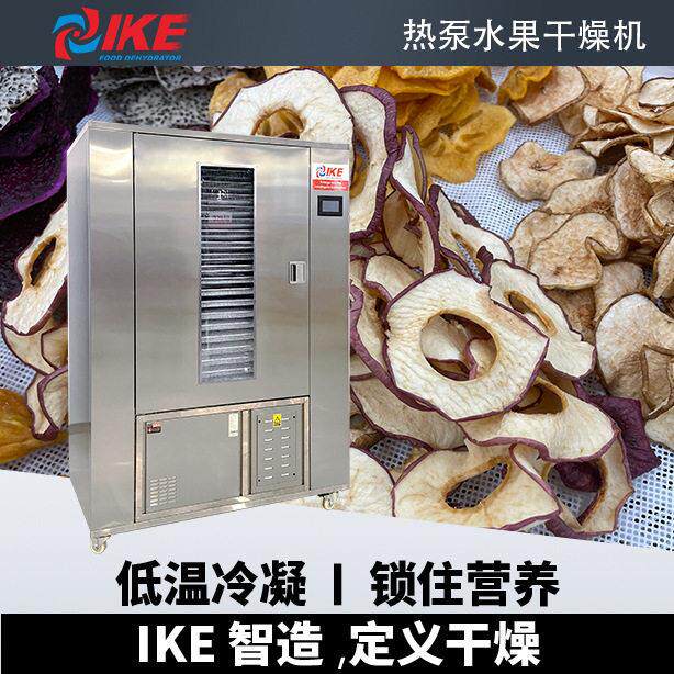 商用100kg水果烘干机热泵干燥腊肠水果加工设备出口专用