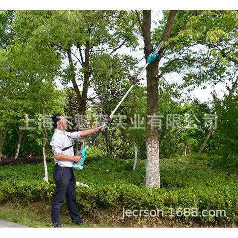 ES-C10182锂电枝锯28V充电式空修枝锯园林果树伸缩修剪锯