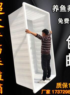 加厚牛筋塑料水箱大号水产养殖养鱼箱长方形牛筋箱泡瓷砖养龟浅盆