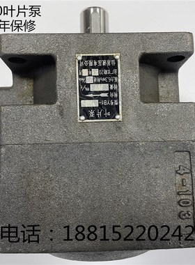 平面磨床油泵M7130 叶片泵YB1-100杭州 M7132B M7140液压泵 M7160