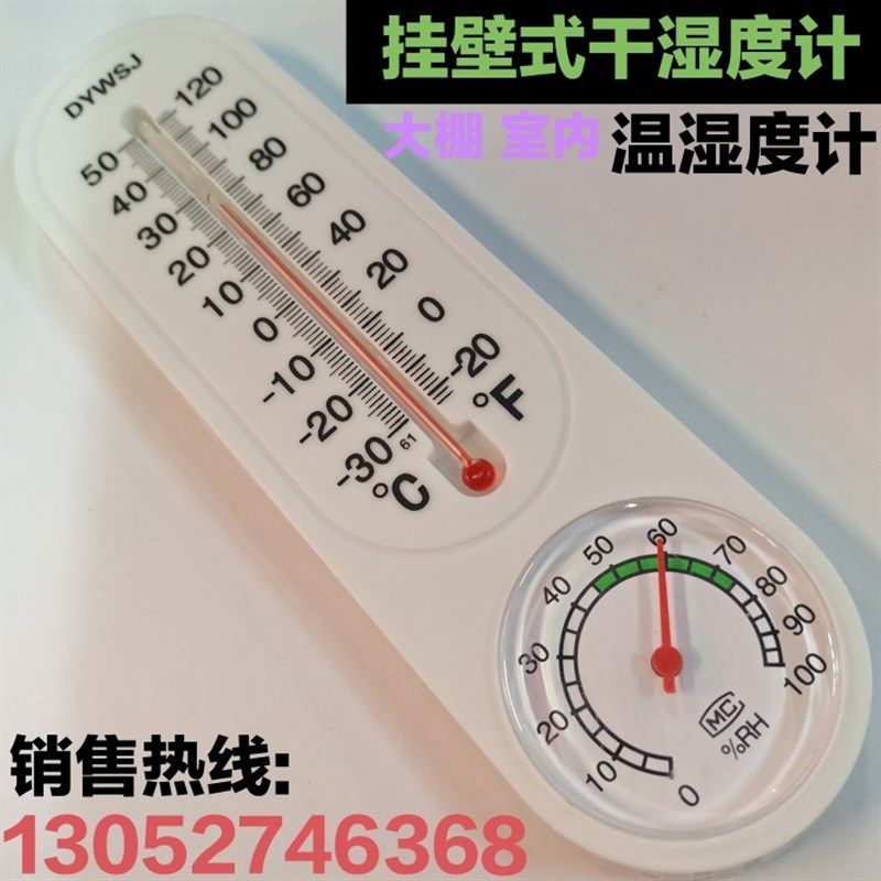 表式干湿温度计干湿度表DYWSJ大棚寒暑表 畜牧猪场养殖场温湿度计