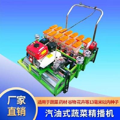 汽油机带动的蔬菜精播机十行青菜种植机自走式小粒种子点播机