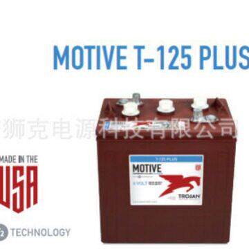 TTrojan ojn蓄电池T-125 6rV2a40A 邱健 洗地机 尔H夫球车原装电