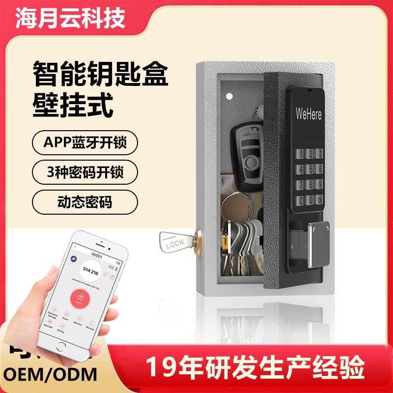 智能壁挂带锁动态密码钥匙柜