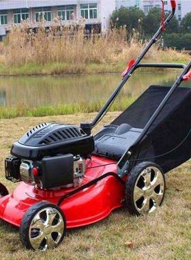 私人别墅园草机草地花绿化修剪机公园AL-65615草坪割手推剪式修机