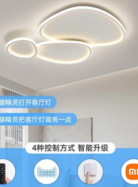 智能厅灯20石2客年新简FJX约现代大气全屋款灯具套餐鹅卵吸顶灯