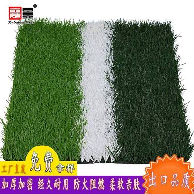 足球场坪人草坪填REM充仿真草专业足球运草动场铺装造草坪橄榄球