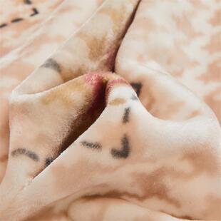 双舍层加拉尔毛毯冬季双面加绒保超厚柔毛毯被午RD_87596休暖睡盖