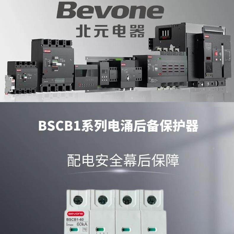 BSSSCB1-OUB20_2P电涌后备保护器BCB1-403P北京北元电器BCB1-6_0_