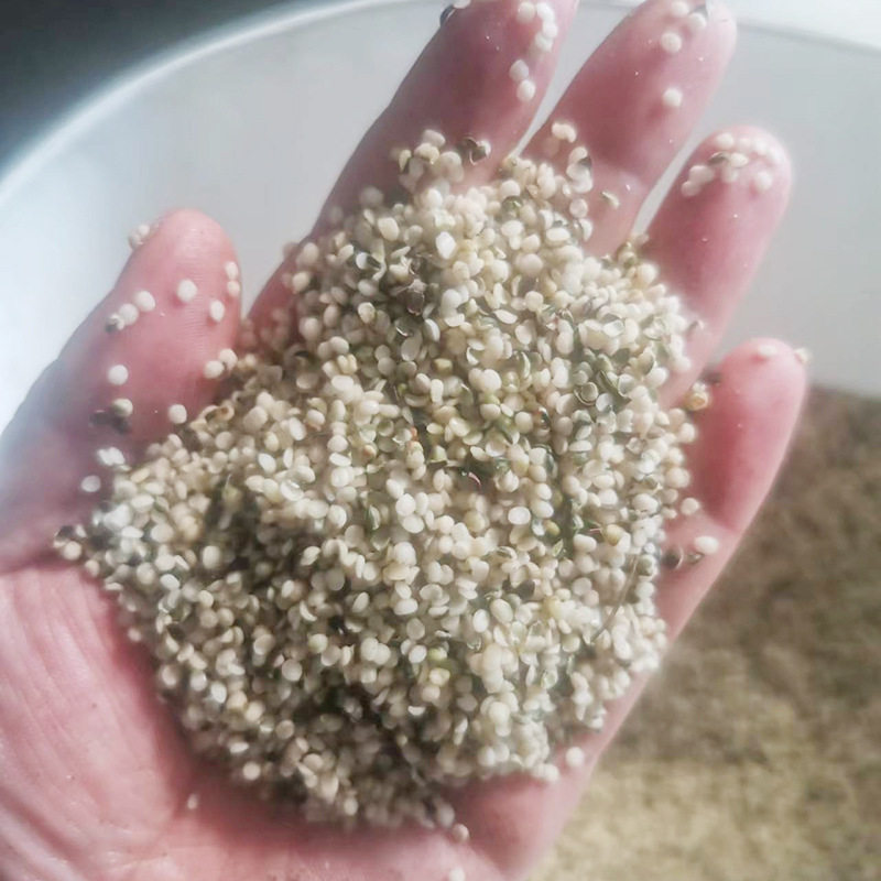 火麻子脱壳机 麻籽去壳机 火麻籽剥壳机