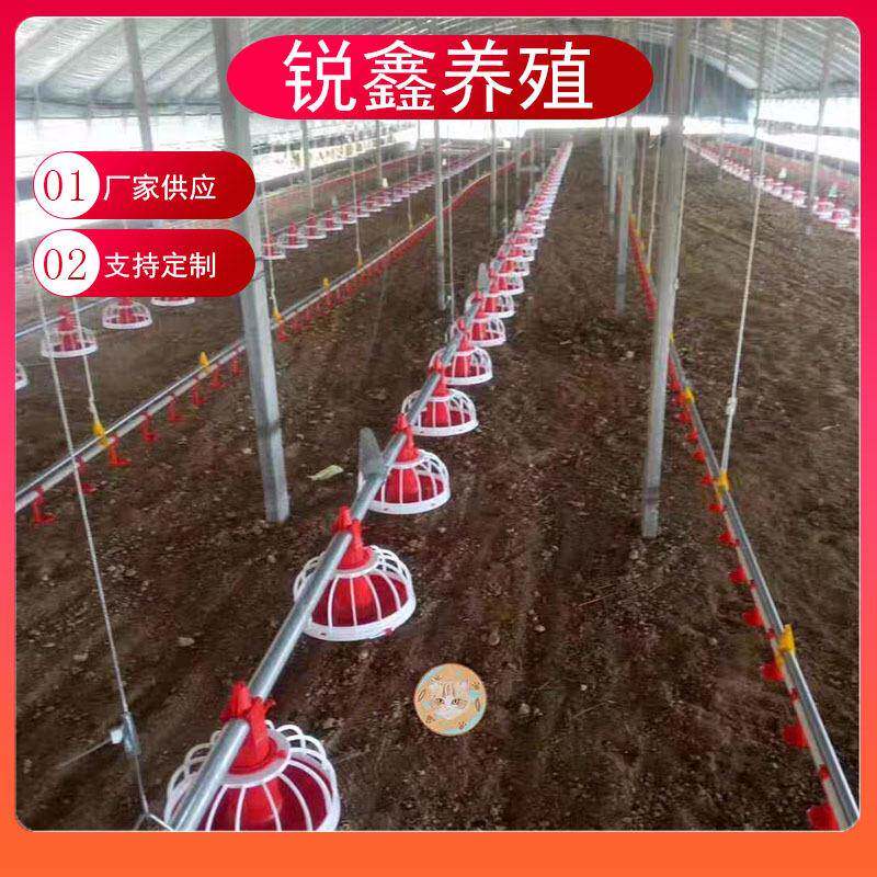 水线料线自动养鸡设备鸡平养料肉式喂盘料水ZEL器喂器鸡鸭用料线