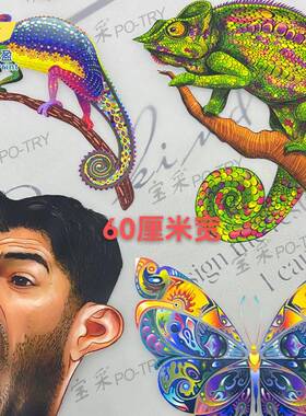 HT-0604IFLY【】T恤白墨烫画打印机DT花Ftshitreprintr数码印机