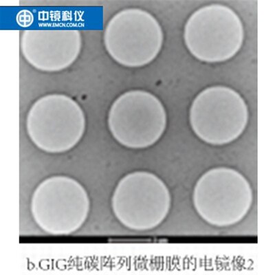 中镜科仪  GIG纯碳阵列微栅膜