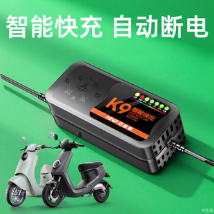 快充电动车电瓶充电器48V12AH60V20安72伏爱玛雅迪铅酸石墨烯通用