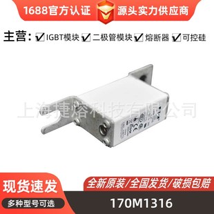 库存充足电子元 快速熔断器 170M1318 170M1317 器件 170M1316