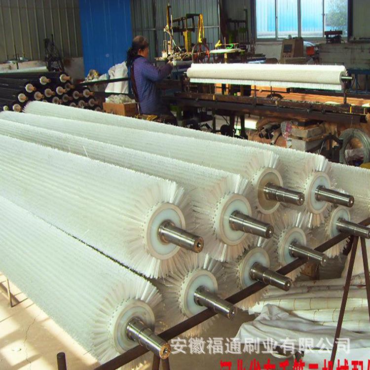 带轴毛刷蔬清洗果机毛刷辊尼龙除抛尘毛刷辊工业光毛刷辊滚刷DDD