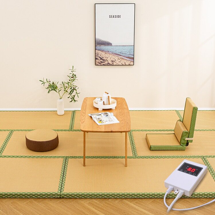 榻榻米垫子床垫炕垫电加热椰棕芯茶室客厅卧室儿童爬行踏踏米