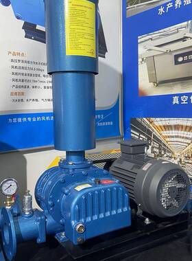 叶罗茨风鼓机双油箱高压风14289气力输送正三压机负压罗茨风机