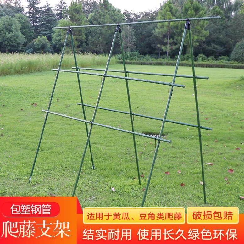 篱笆网爬藤架室外露台院子园林地插防腐紫滕花支架蕃茄专用葡萄