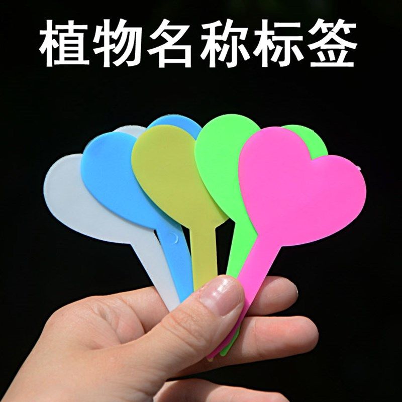 多肉植物标签彩色指示牌花卉园艺标签苔藓微景观防水标识牌插地牌