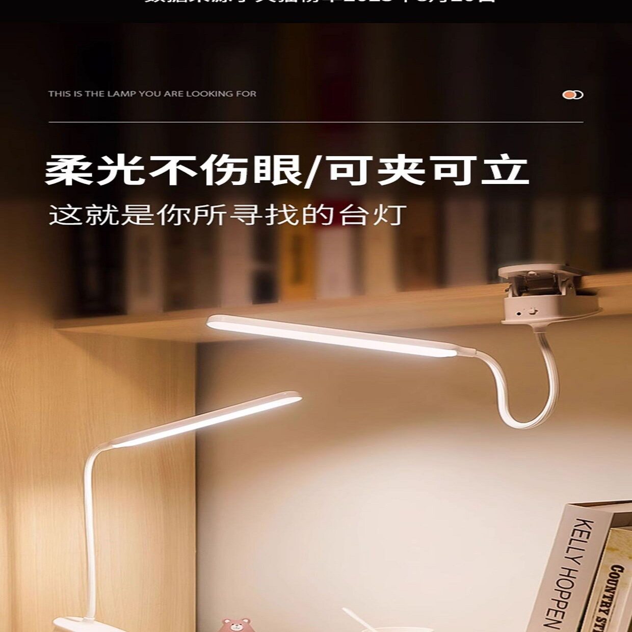 台灯可充电款式学生护眼学习宿舍书桌床头阅读可夹式夹子台风
