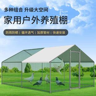 家鸡子鸡棚特用养殖UHC笼鸽笼大号大孔雀养鸡笼子防老鼠蛇搭建户