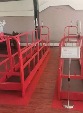ZPL30镀锌电吊篮外喷漆动幕墙工程6HKJ高墙空作业升降机