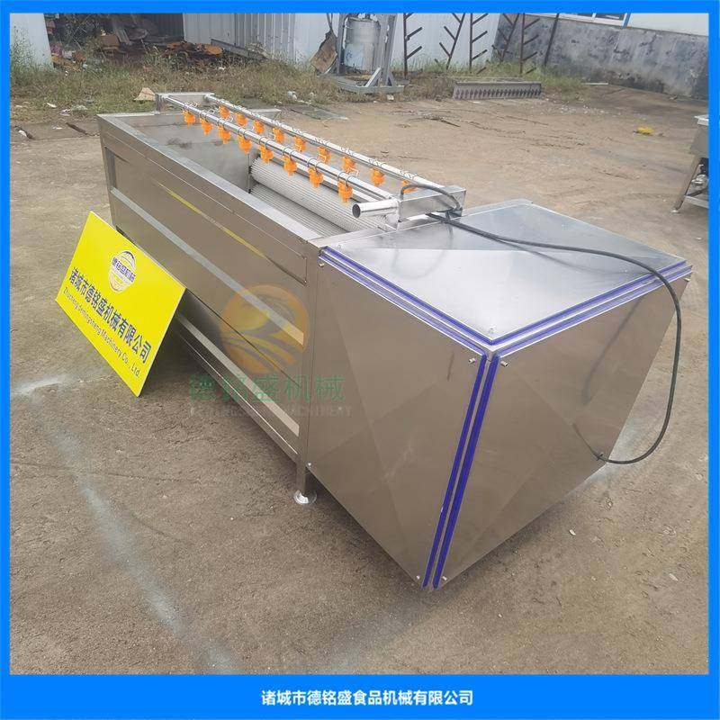 去莲藕土DMS20211皮辊机器小型毛果蔬皮清洗机洗莲藕豆毛去辊清洗