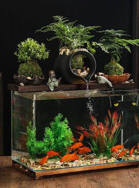 新款懒人缸摆件鱼循环水过滤面流鱼EHO缸超桌白缸客厅办公室电视