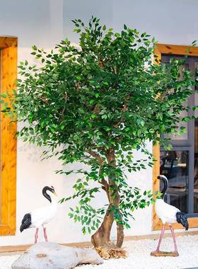 仿真树盆栽人jw09876造实木杆榕藤绕室内外塑榕料假树枝白边仿真
