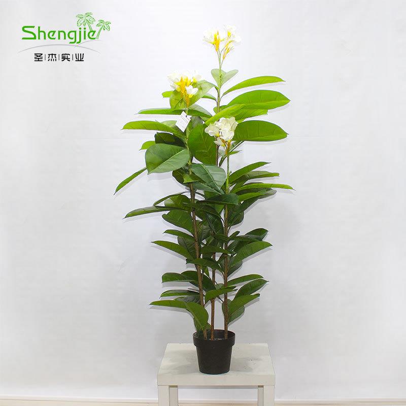 真仿鸡蛋花盆栽家居厅装饰假花地摆件广州仿客真落植物厂家CYU直