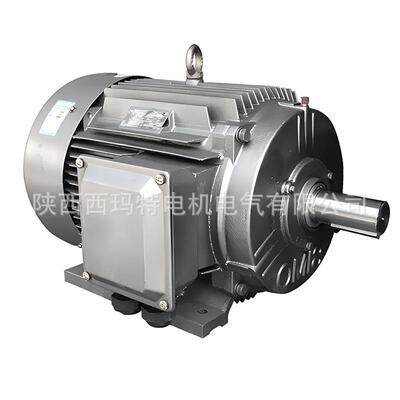 西安西电机Y-E2W315L2-玛6WF极132KB3侧右WRM低压交流三相异步电