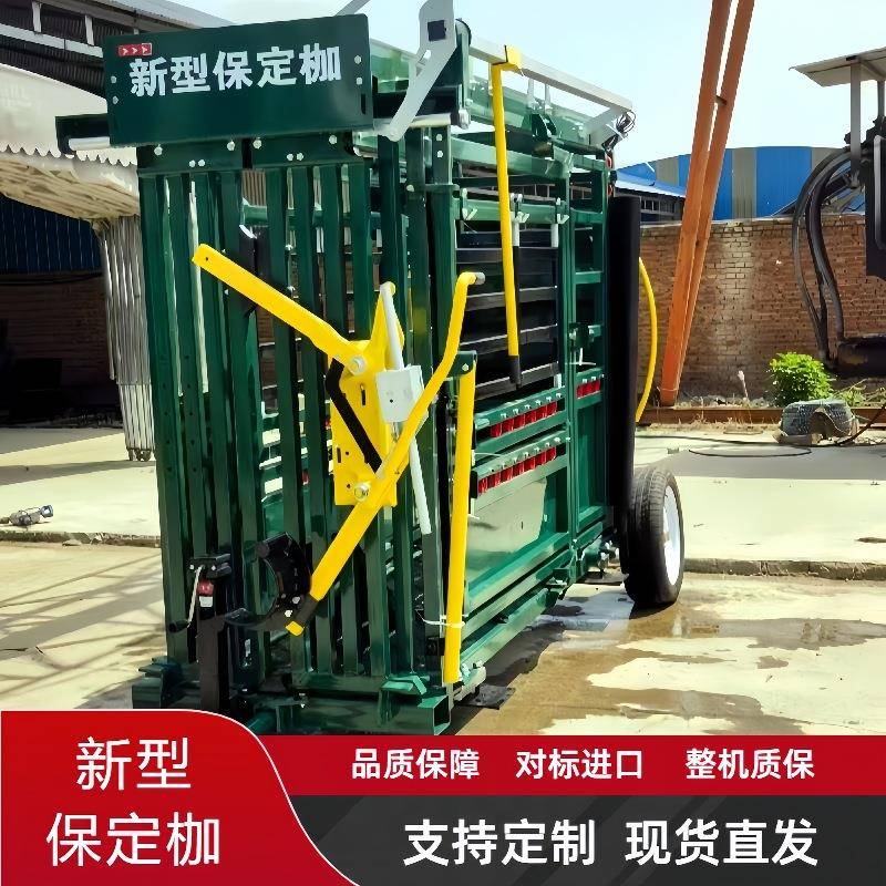 牛定用新型保枷HWD群牛场防疫保定架保定栏牧智场肉牛能称重分设