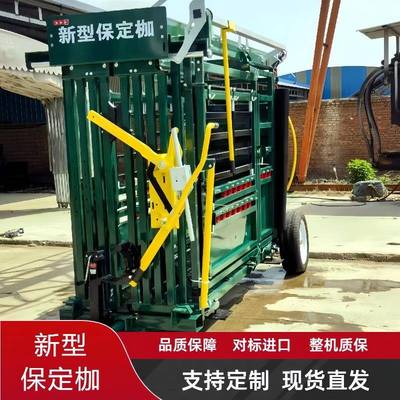 牛定用新型保枷HWD群牛场防疫保定架保定栏牧智场肉牛能称重分设