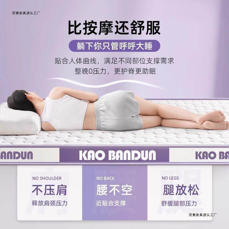 Apxx69528乳胶床类垫记忆垫海绵软垫双人家用卧室铺底垫单人宿舍