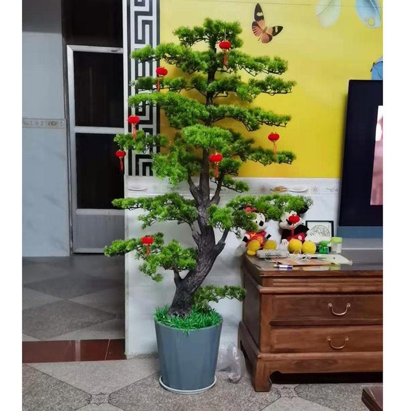 仿迎客松盆真景摆件假料树罗汉松树FMZ塑花盆栽室植物内装饰花艺