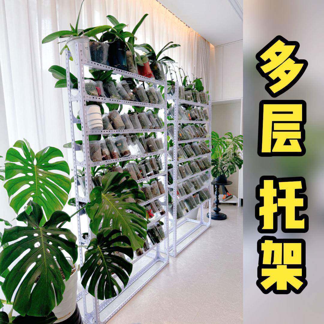 一ZFO体地悬挂花盆托架蝴蝶摆放架架多层植物兰花架墙靠铁艺落垒
