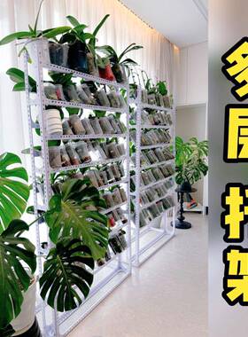 一ZFO体地悬挂花盆托架蝴蝶摆放架架多层植物兰花架墙靠铁艺落垒