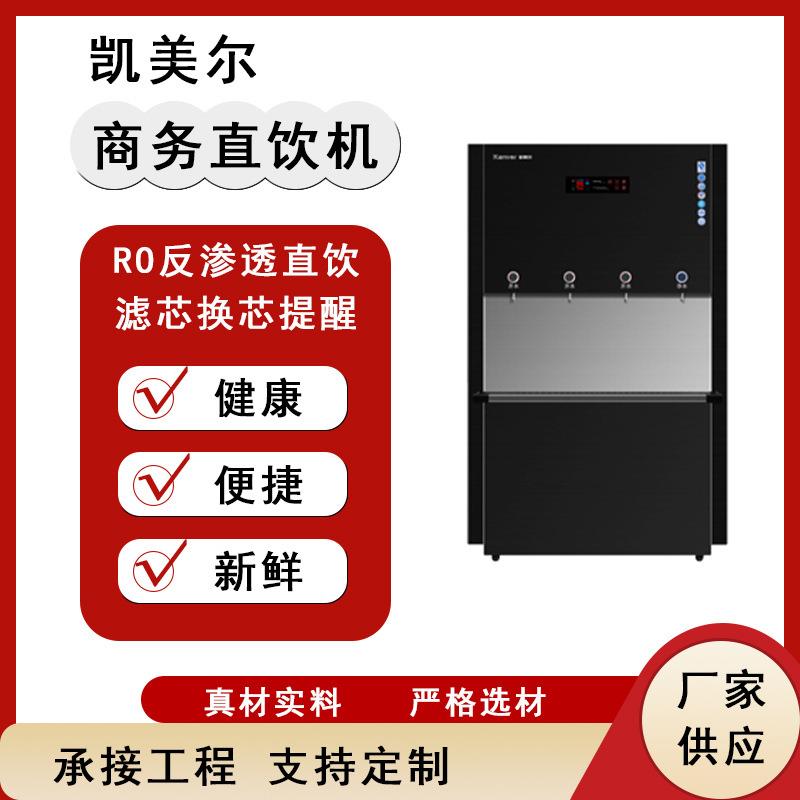 凯美尔直饮机0反渗透饮R滤芯直换芯提KM-H6-2真材实料严格选醒材