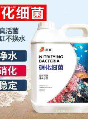 硝化细菌鱼池剂化细菌硝活菌净化净水稳剂养鱼水剂鱼缸TXD清澈其