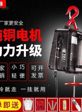 微型电葫2200v小吊机家用小型升降.5吨248遥升控便携提机电芦麦太