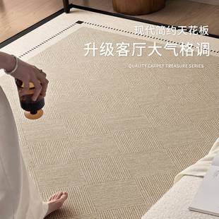 地客毯古厅中风地免洗可擦卧室沙发垫现代极简防水OUC家用天津地