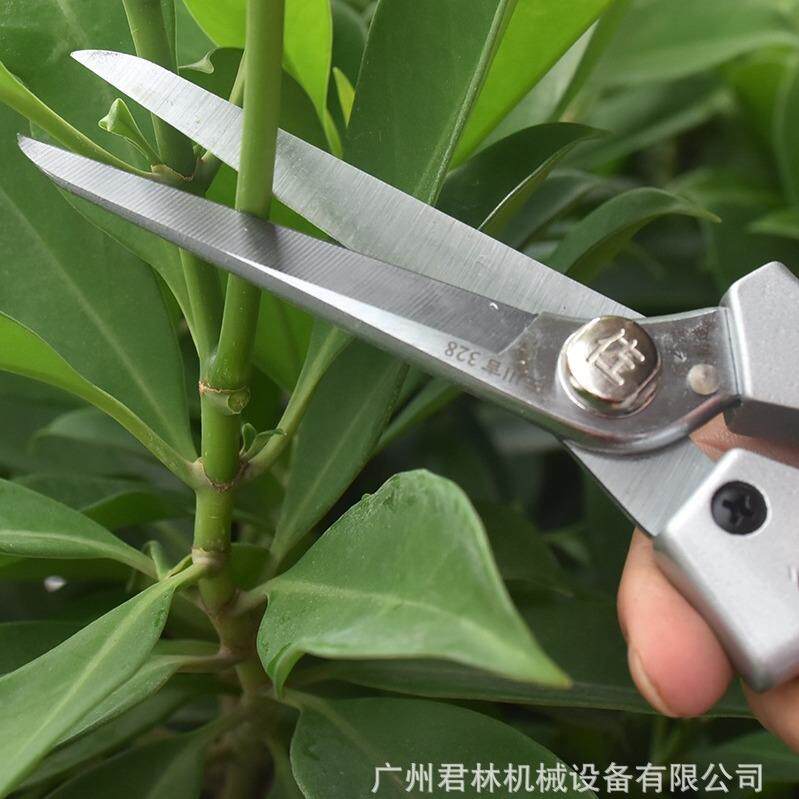 佐剪川稀吉DLY直头38加长刃修枝剪摘果盆景2修剪葡萄剪修叶果疏花