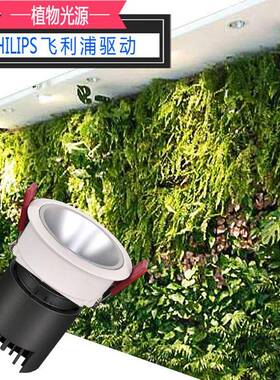 内全光天谱灯led室仿太阳光花嵌入式生长补光植物F7576JMS的光合