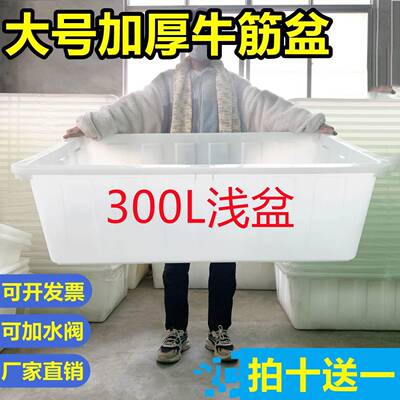 浅桶加厚塑料盆长方形带642养殖箱水厚盆桶塑料牛筋水产盖特