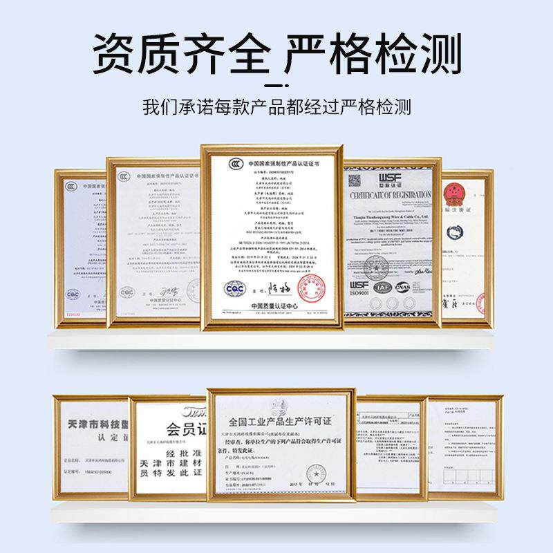 .天祥黑色护套线2芯护套线电线2鸿5平方标信BII号线rv国v电源线