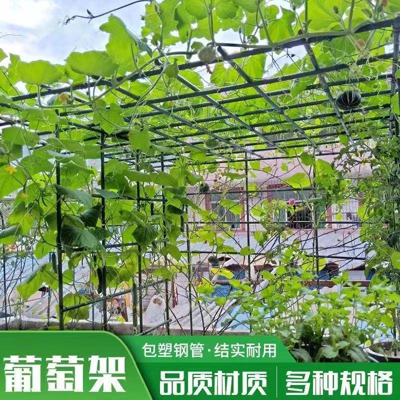 0爬户外庭院园艺瓜葡萄架爬藤花架组装架黄丝瓜豆角月支季植物攀
